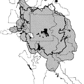 320x320 Grizzly Bear Distribution In The Greater Yellowstone Ecosystem - Grizzly Bear Line Drawing