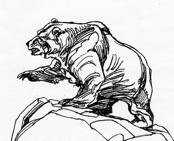 600x488 Grizzly Bear Line Art Stl - Grizzly Bear Line Drawing
