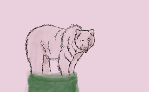 510x316 When Grizzly Bears Go Bad Constructions Of Victimhood And Blame - Grizzly Bear Line Drawing