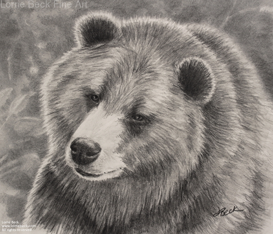 Grizzly Bear Pencil Drawing at Explore collection of Grizzly Bear Pencil