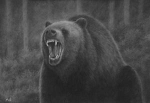 300x206 Original Grizzly Bear Drawing - Grizzly Bear Pencil Drawing
