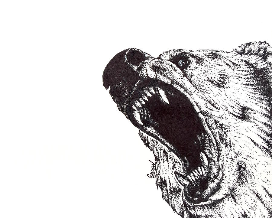 900x721 Grizzly Drawing - Grizzly Drawing