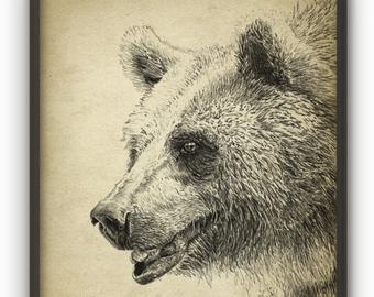 340x270 Grizzly Bear Drawing Etsy - Grizzly Drawing