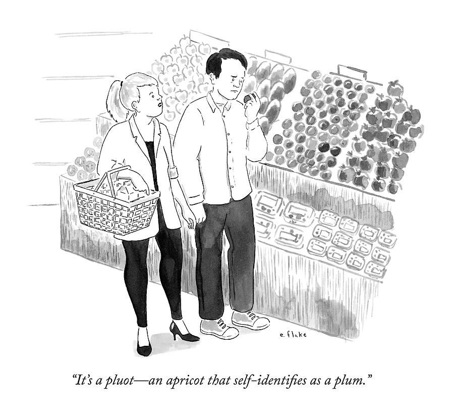 900x832 in the produce section of a grocery store drawing - Grocery Drawing