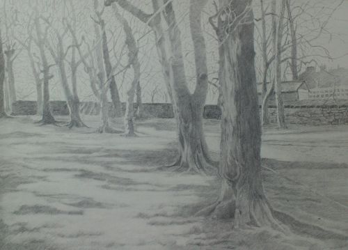 500x359 tree drawing tutorial adding tone to a preparatory drawing - Ground Drawing