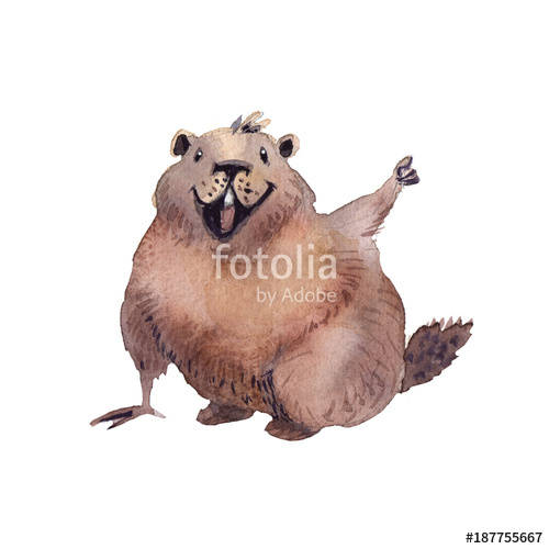 500x500 Happy Groundhog Day - Groundhog Drawing