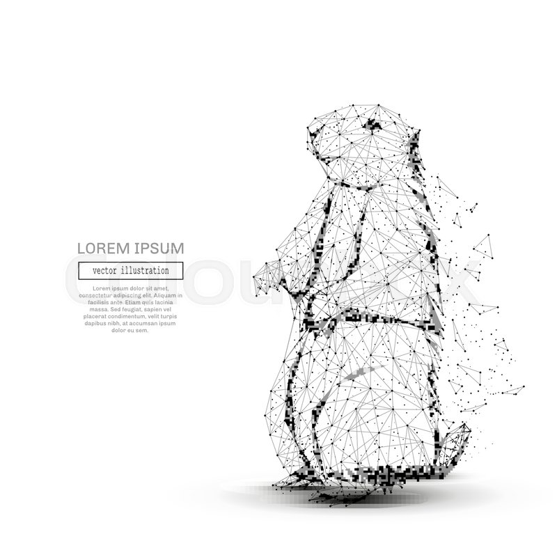 800x800 Grey Groundhog With Polygon Line On Stock Vector Colourbox - Groundhog Line Drawing