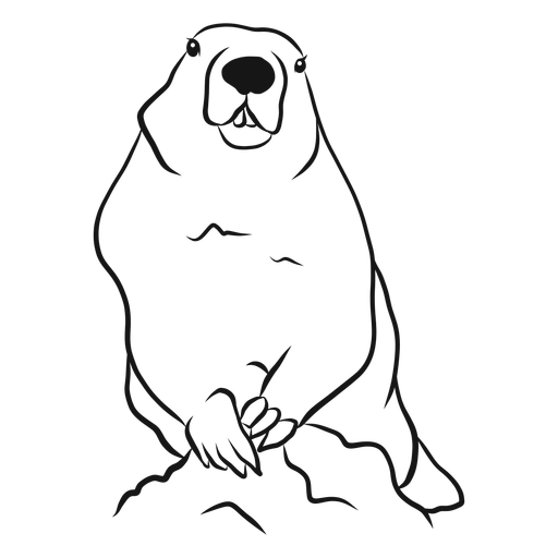 512x512 Groundhog Animal Sketch Vector - Groundhog Line Drawing