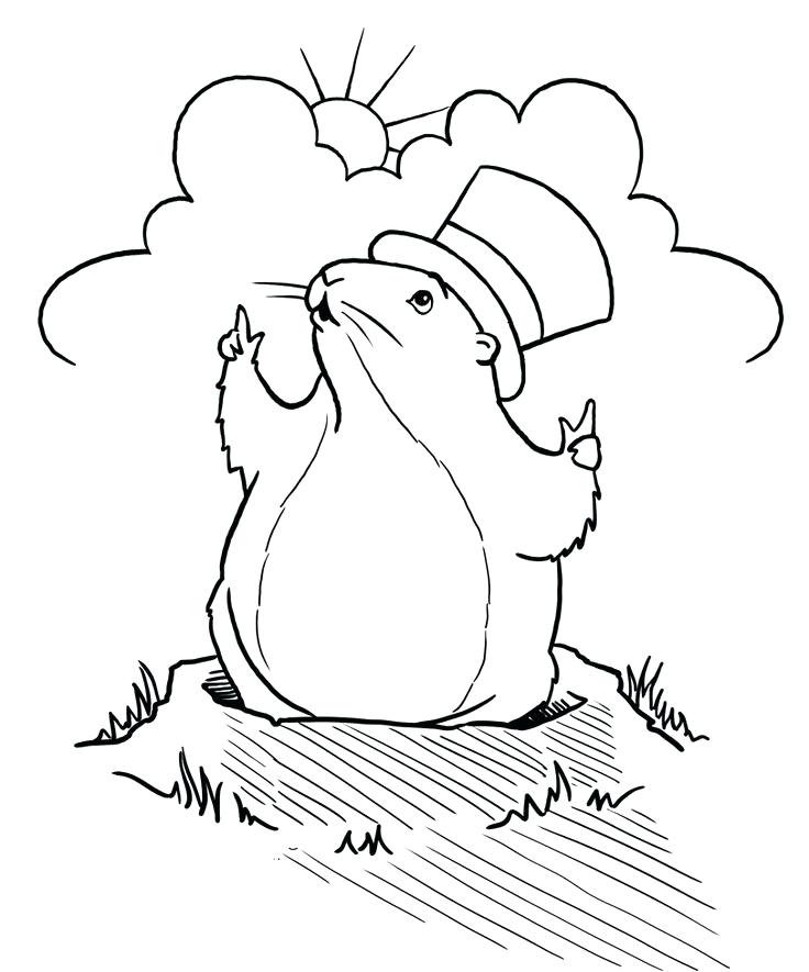 Groundhog Line Drawing at Explore collection of