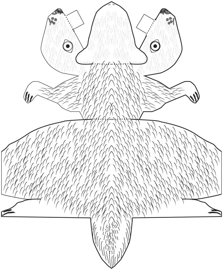 900x1089 illinois natural history survey groundhog - Groundhog Line Drawing