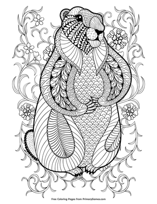 309x400 Zentangle Groundhog Coloring - Groundhog Line Drawing