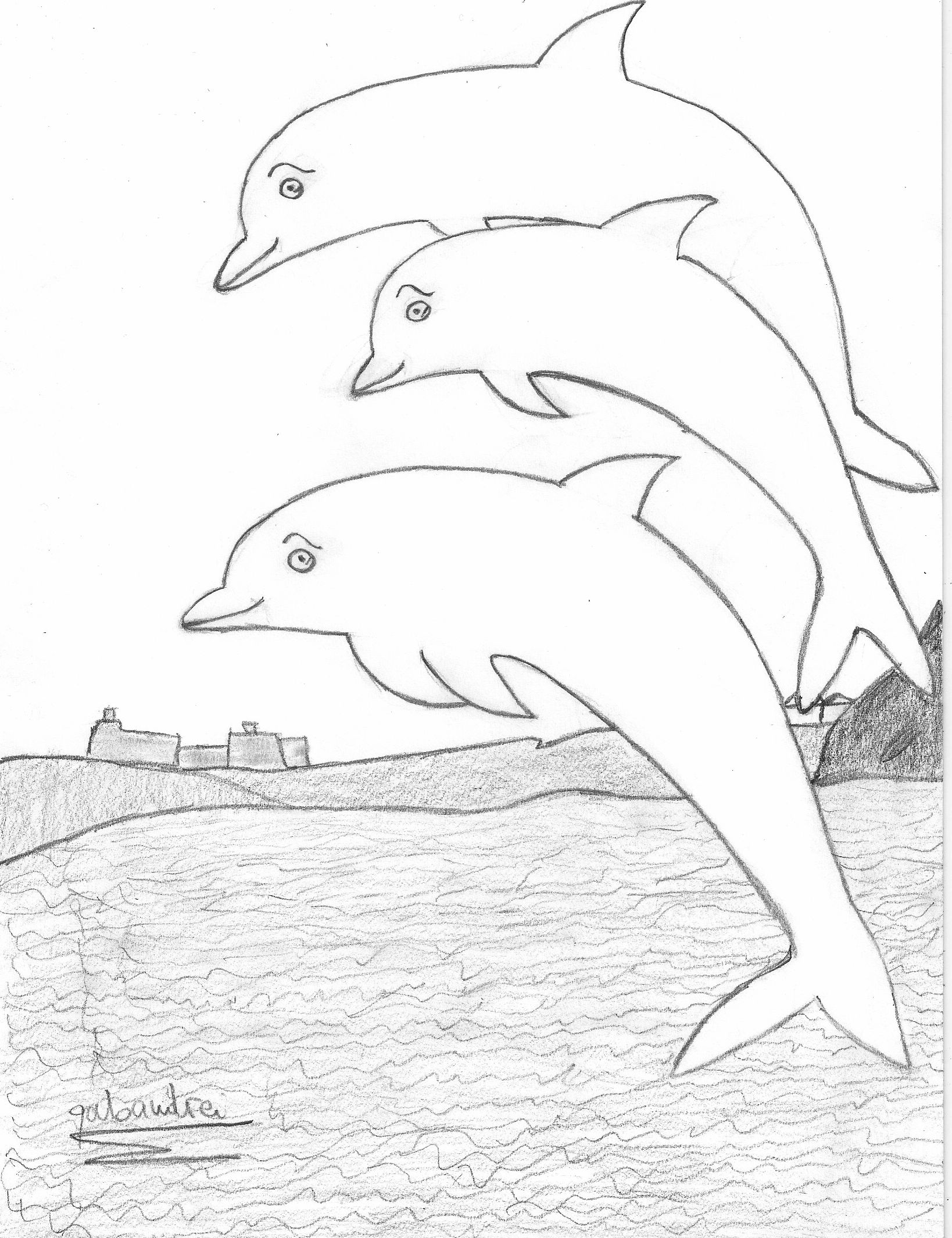 1638x2130 a group of dolphin friends - Group Drawing