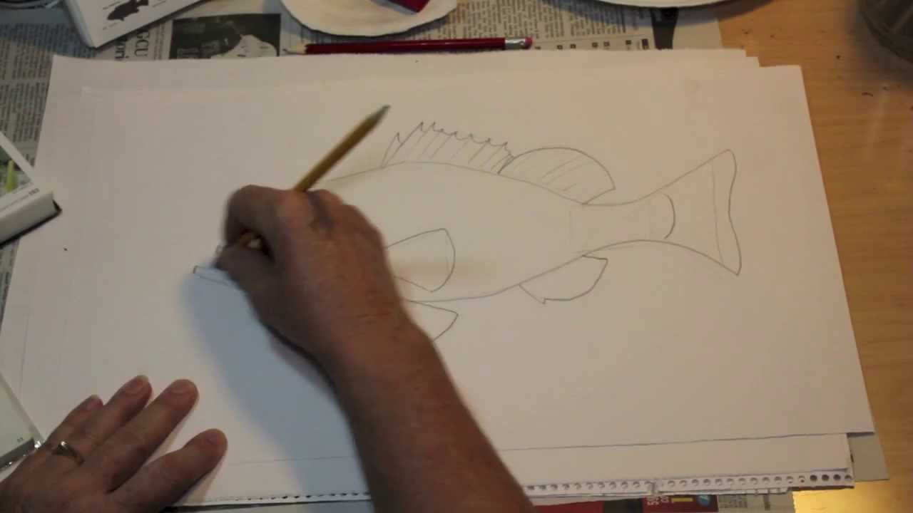 1280x720 How To Draw A Fish The Easy Way - Grouper Drawing