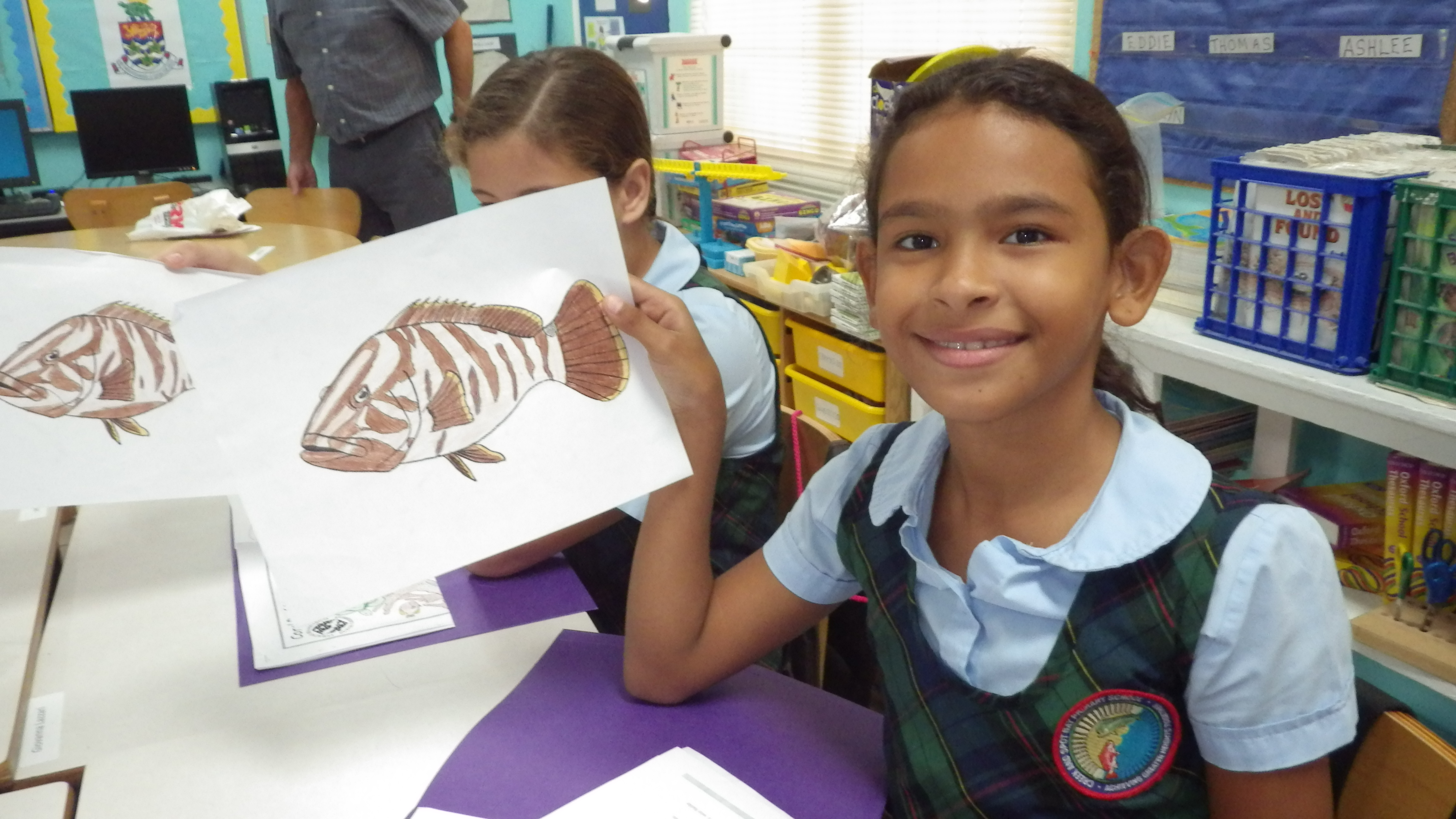 4608x2592 reef environmental education foundation - Grouper Drawing