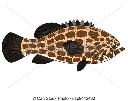 450x355 Vector Illustration Of Grouper Fish - Grouper Drawing