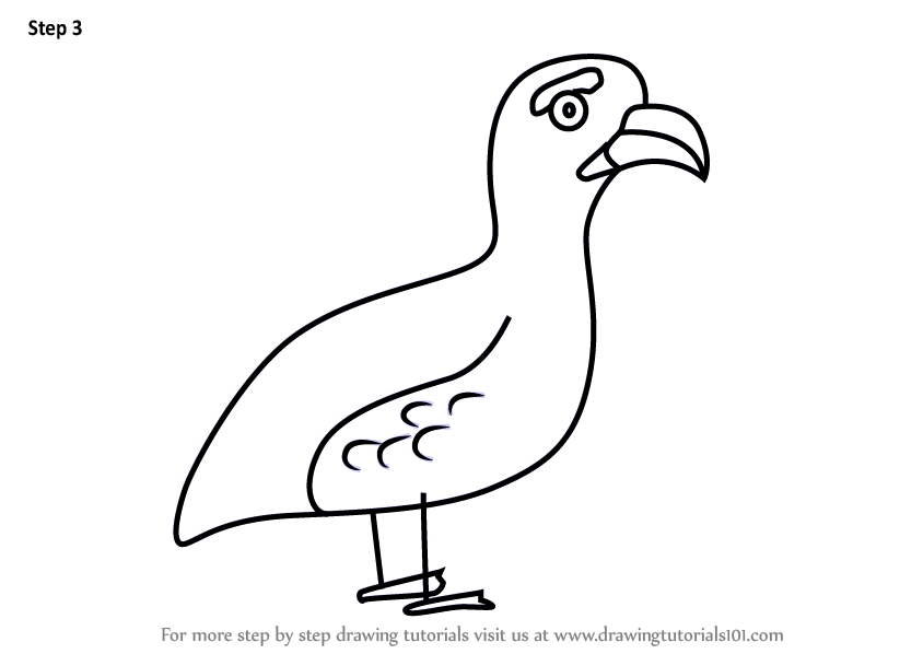 844x598 learn how to draw a grouse bird for kids - Grouse Drawing