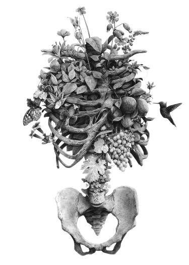 375x524 Grow Drawing - Grow Drawing