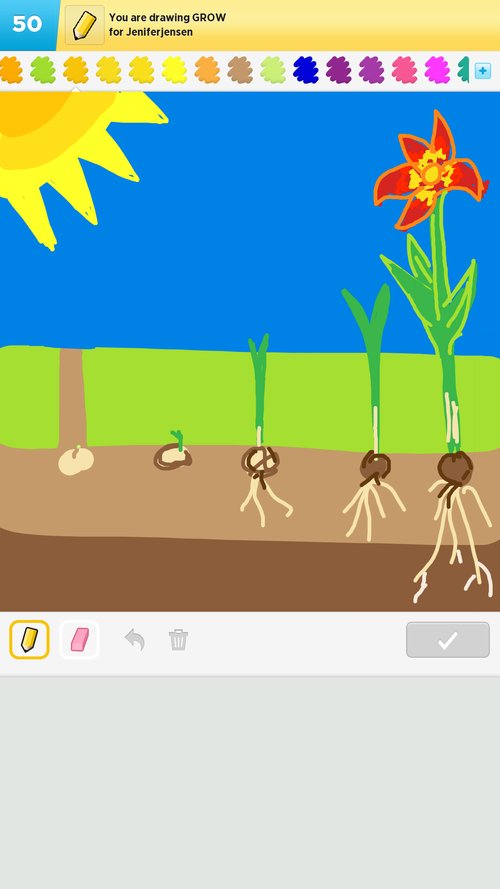 500x889 Grow Drawings - Grow Drawing