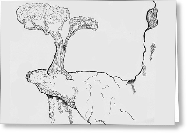 646x470 Nowhere Left To Grow Drawing - Grow Drawing