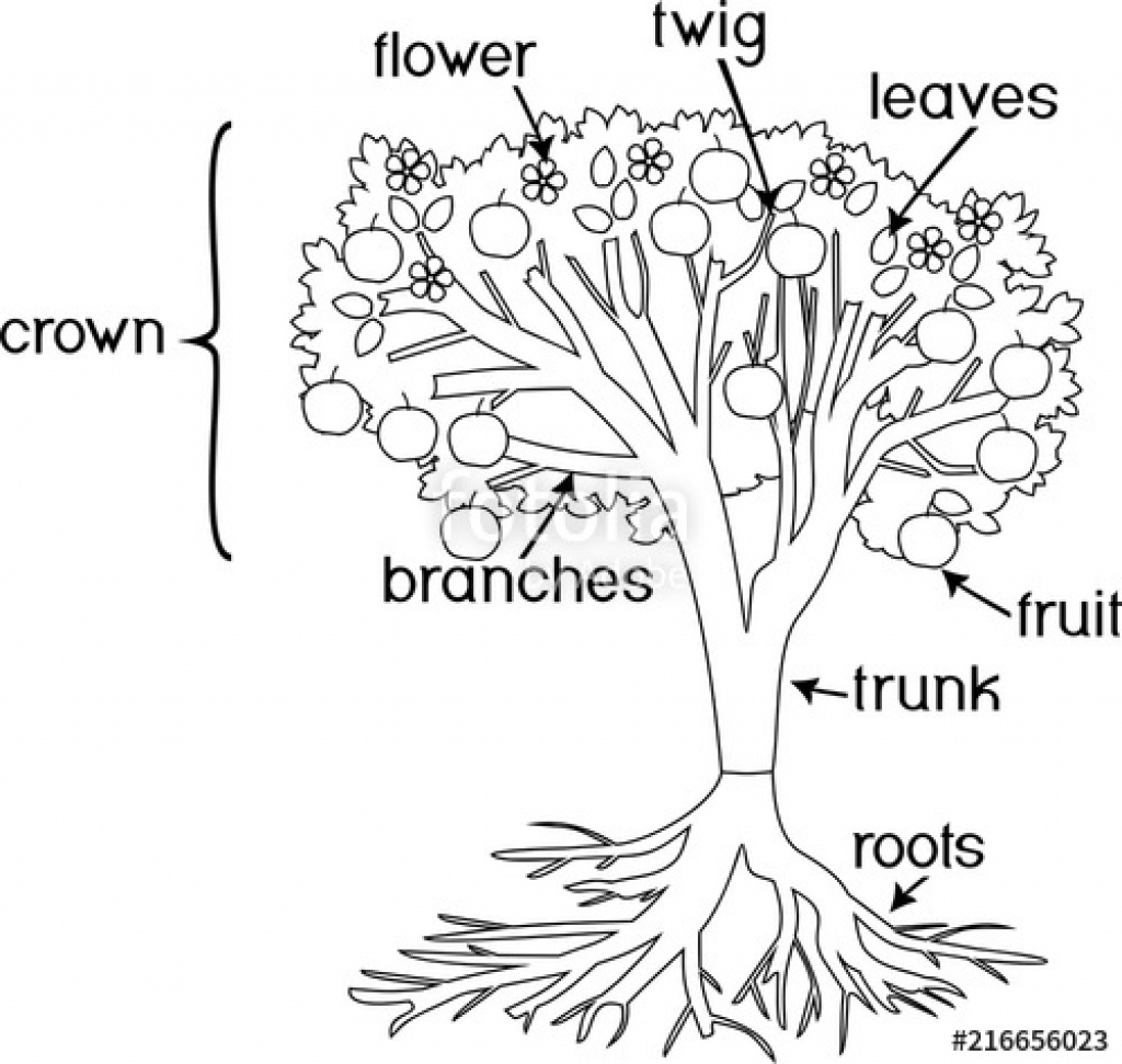 1024x971 growing plant drawing at getdrawings free for personal use - Growing Plant Drawing