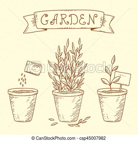 450x461 hand drawn garden set of growing plants in pots - Growing Plant Drawing