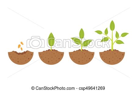 450x301 huge collection of 'growing plant drawing' download more than - Growing Plant Drawing