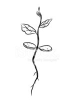 150x200 small growing plant cartoon stock vectors - Growing Plant Drawing