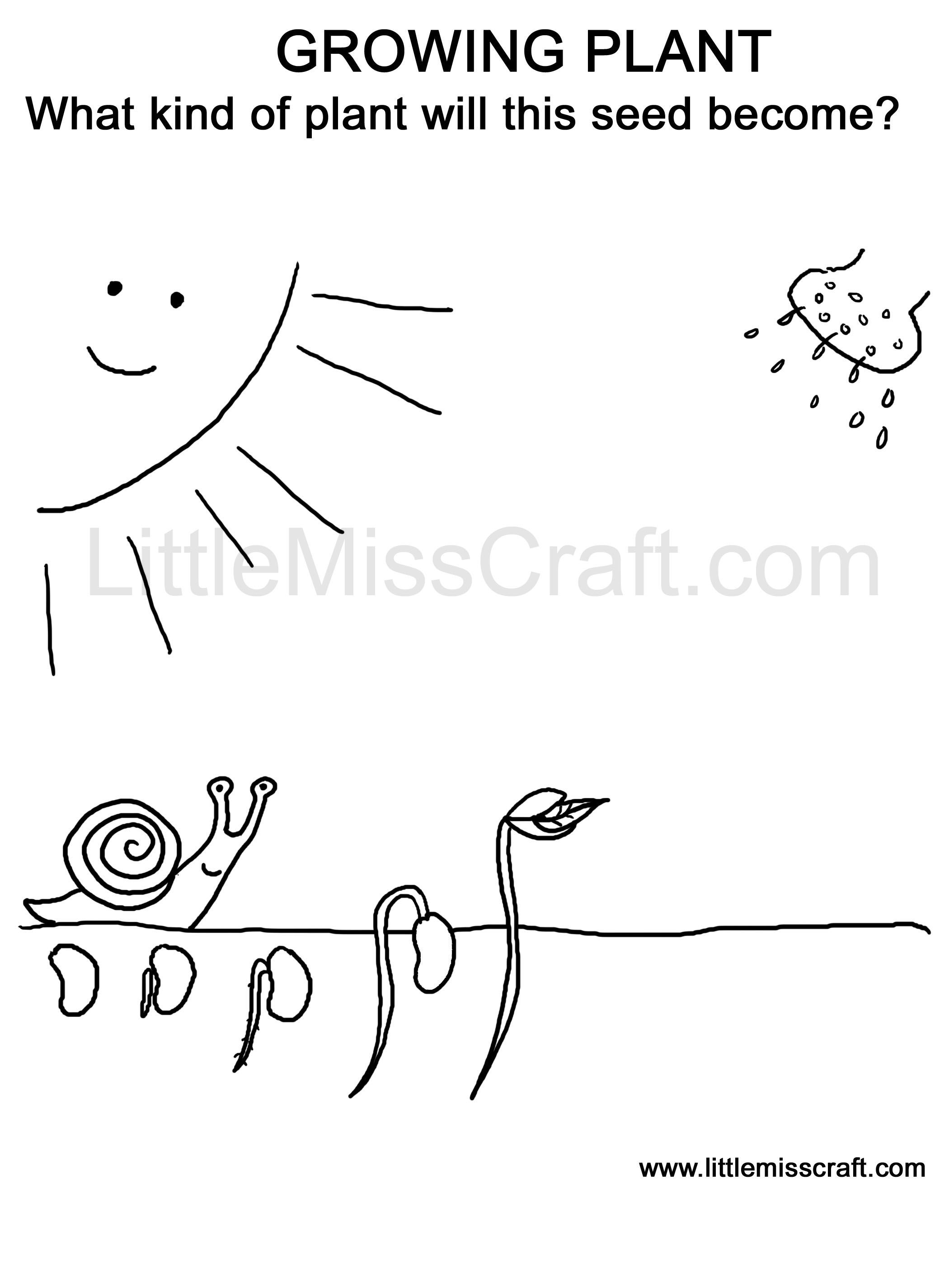 2100x2850 Coloring - Growing Plant Drawing