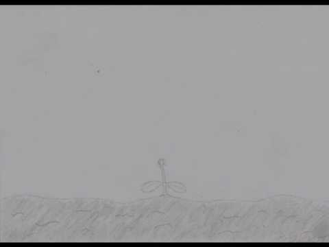 480x360 drawing transformation growing plant - Growing Plant Drawing