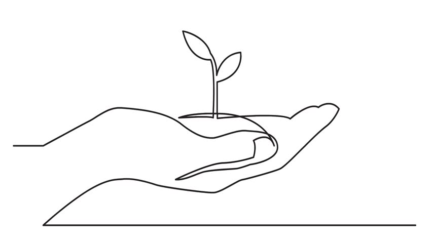 852x480 Animated Continuous Line Drawing Of Stock Footage Video - Growing Plant Drawing