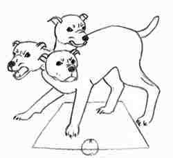 250x229 draw fluffy the three headed dog draw fluffy - Growling Dog Drawing