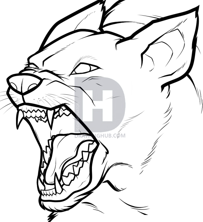 658x720 how to draw an angry dog, angry dog, step - Growling Dog Drawing