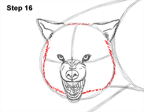 500x387 how to draw a wolf growling - Growling Dog Drawing