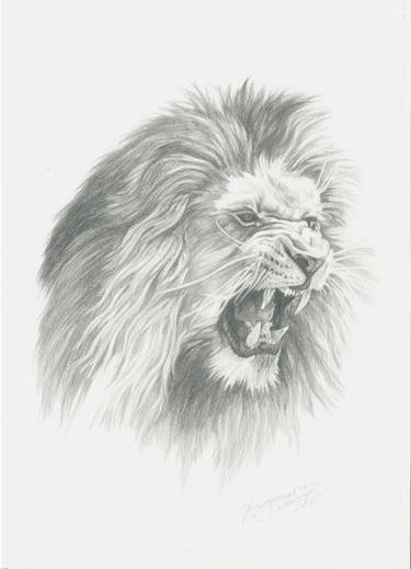 Growling Lion Drawing at PaintingValley.com | Explore collection of ...