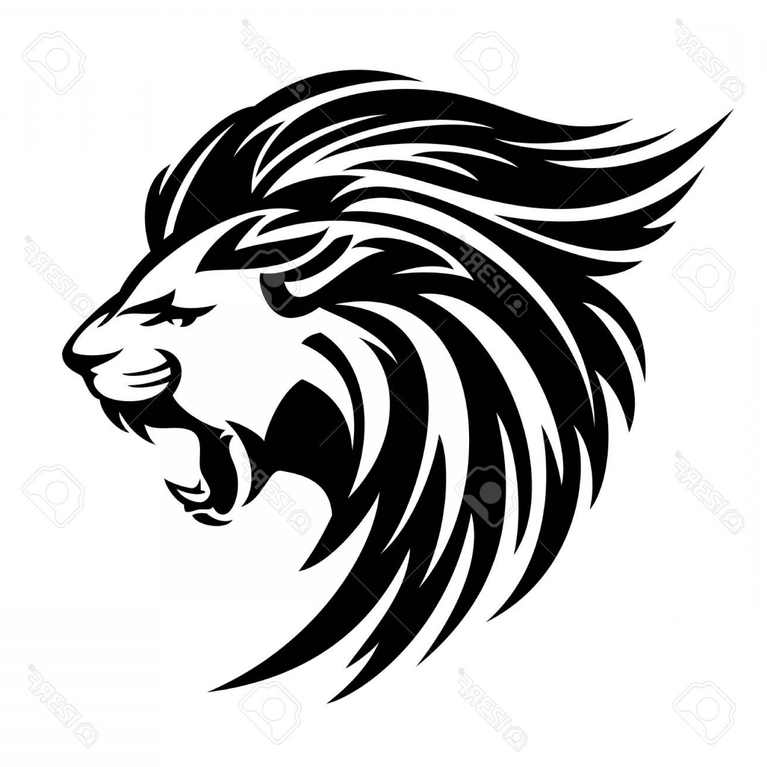 1560x1560 Photostock Vector Roaring Lion Profile Portrait Side View Animal - Growling Lion Drawing