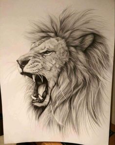 236x298 Tattoo Ideas Lion Drawing, Lion, Lion - Growling Lion Drawing