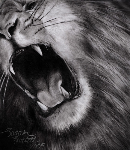 Growling Lion Drawing at PaintingValley.com | Explore collection of ...