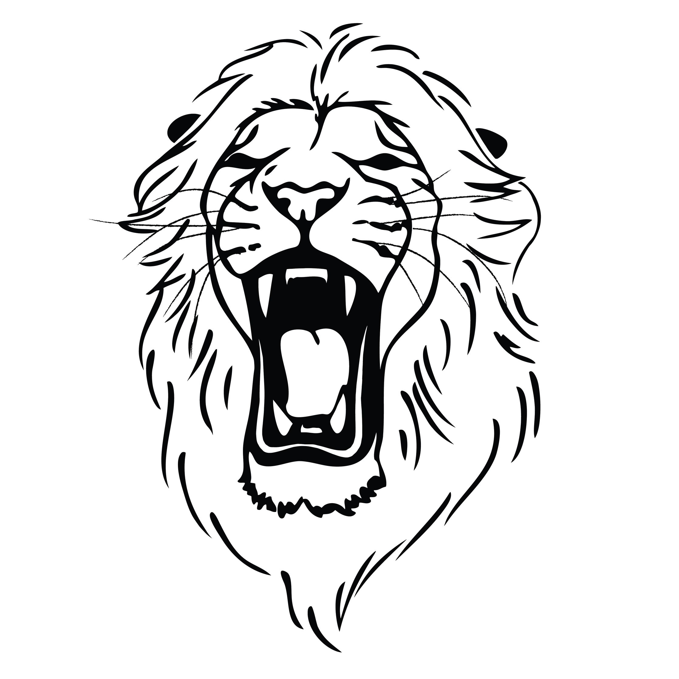 2236x2236 collection of free liger drawing roaring download on ui ex - Growling Lion Drawing