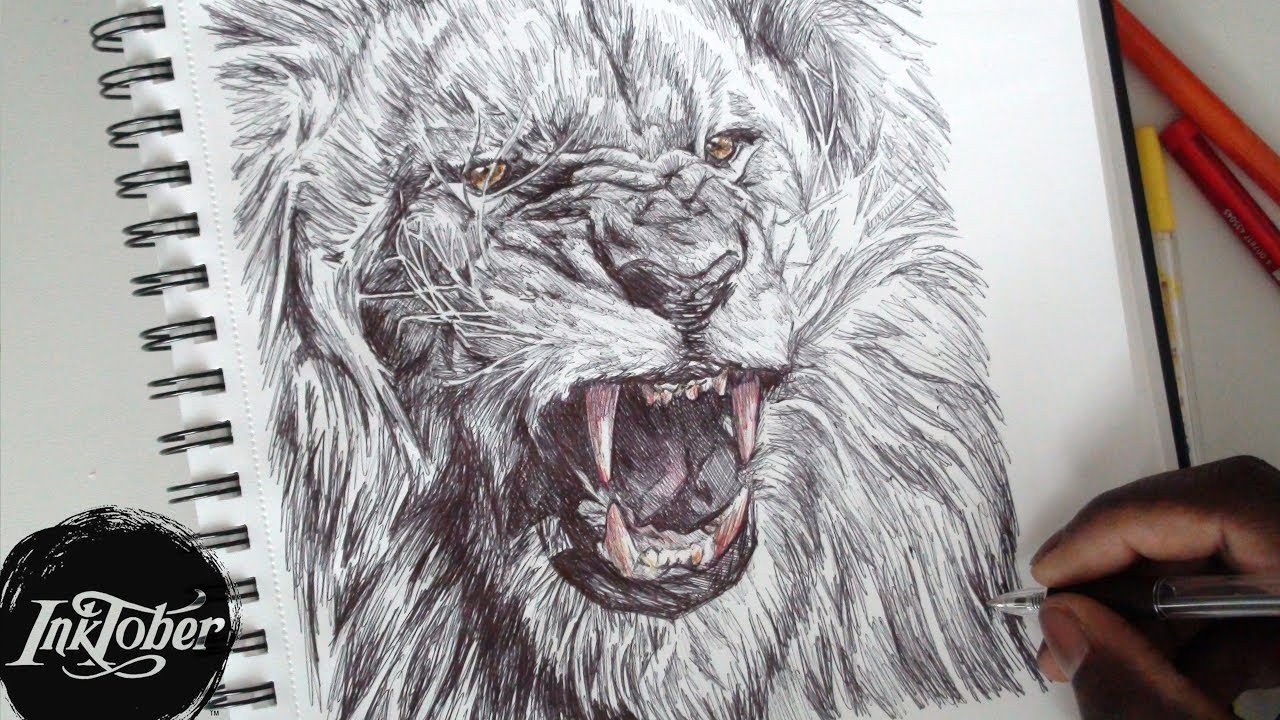 1280x720 epic lion roar pen drawing - Growling Lion Drawing