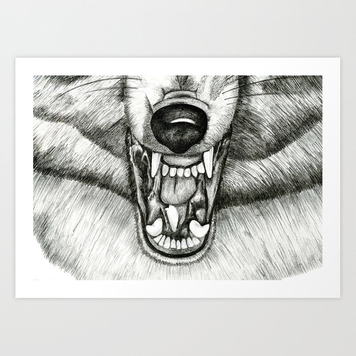 700x700 Pencil Drawing - Growling Wolf Drawing