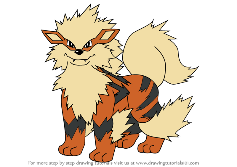 800x565 Learn How To Draw Arcanine From Pokemon - Growlithe Drawing