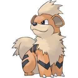 250x250 Growlithe Drawing Amino - Growlithe Drawing