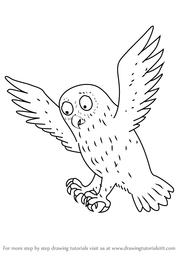 598x844 Learn How To Draw Owl From The Gruffalo - Gruffalo Drawing
