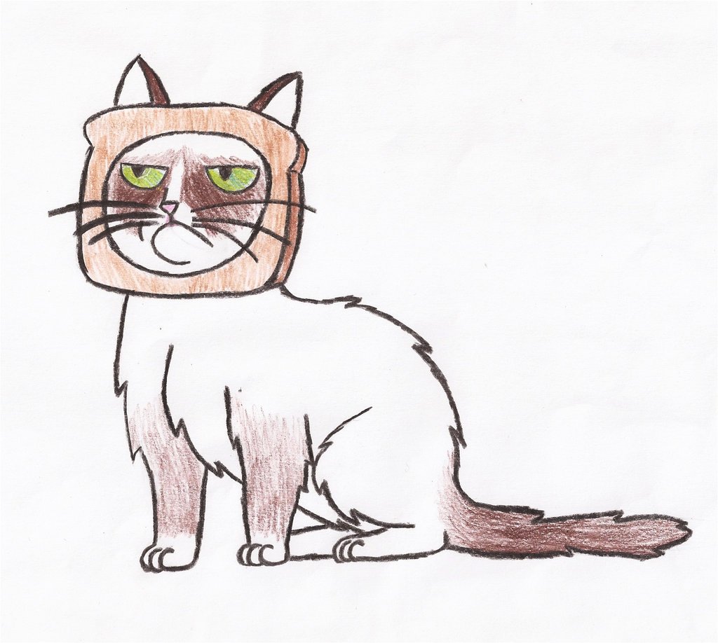 1024x918 grumpy cat cartoon drawing at getdrawings com free for personal - Grumpy Cat Cartoon Drawing