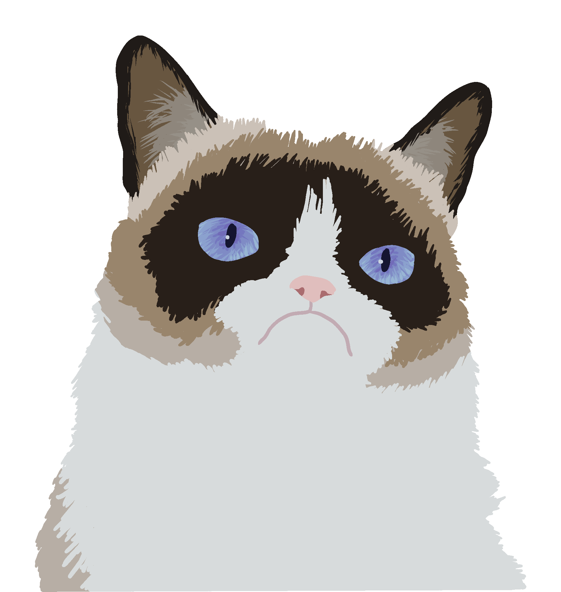 Grumpy cat нарисовать