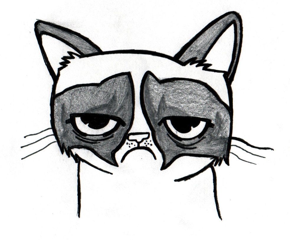 983x813 grumpy cat drawing - Grumpy Cat Drawing
