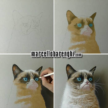 350x350 grumpy cat step bystep drawing - Grumpy Cat Drawing