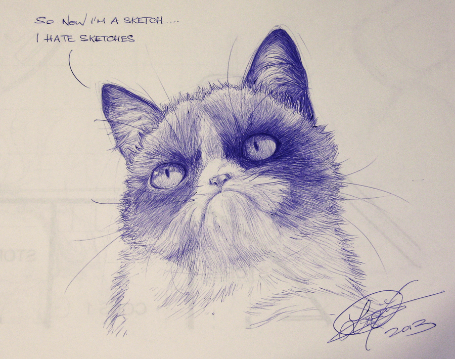 Grumpy cat нарисовать