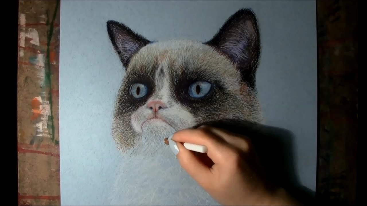 Grumpy Cat Drawing at Explore collection of Grumpy