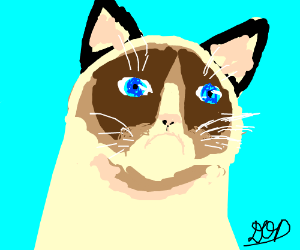 300x250 grumpy cat drawing - Grumpy Cat Drawing